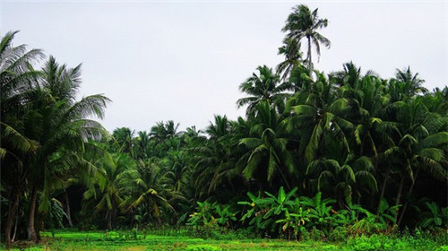 餐饮菜单设计目录怎么写，餐厅菜单设计思路