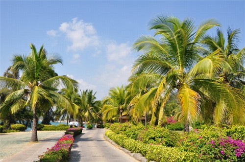 恩施魔芋小吃加盟费多少