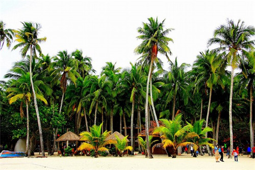 开奶茶店一年能挣多少钱