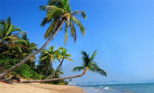 怀宁县易拉宝加盟投资创业哪家项目风险低