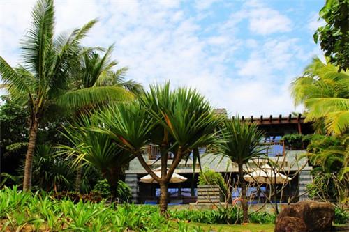 马油皂加盟排行榜前十名加盟费，马油皂的功效与作用,多少钱一块