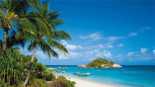 槟榔加盟代销加盟费多少钱