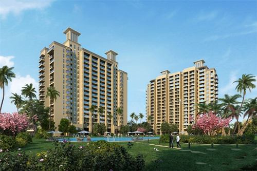 爬上山顶看风景800字作文（爬到山顶看到美丽的风景的作文）